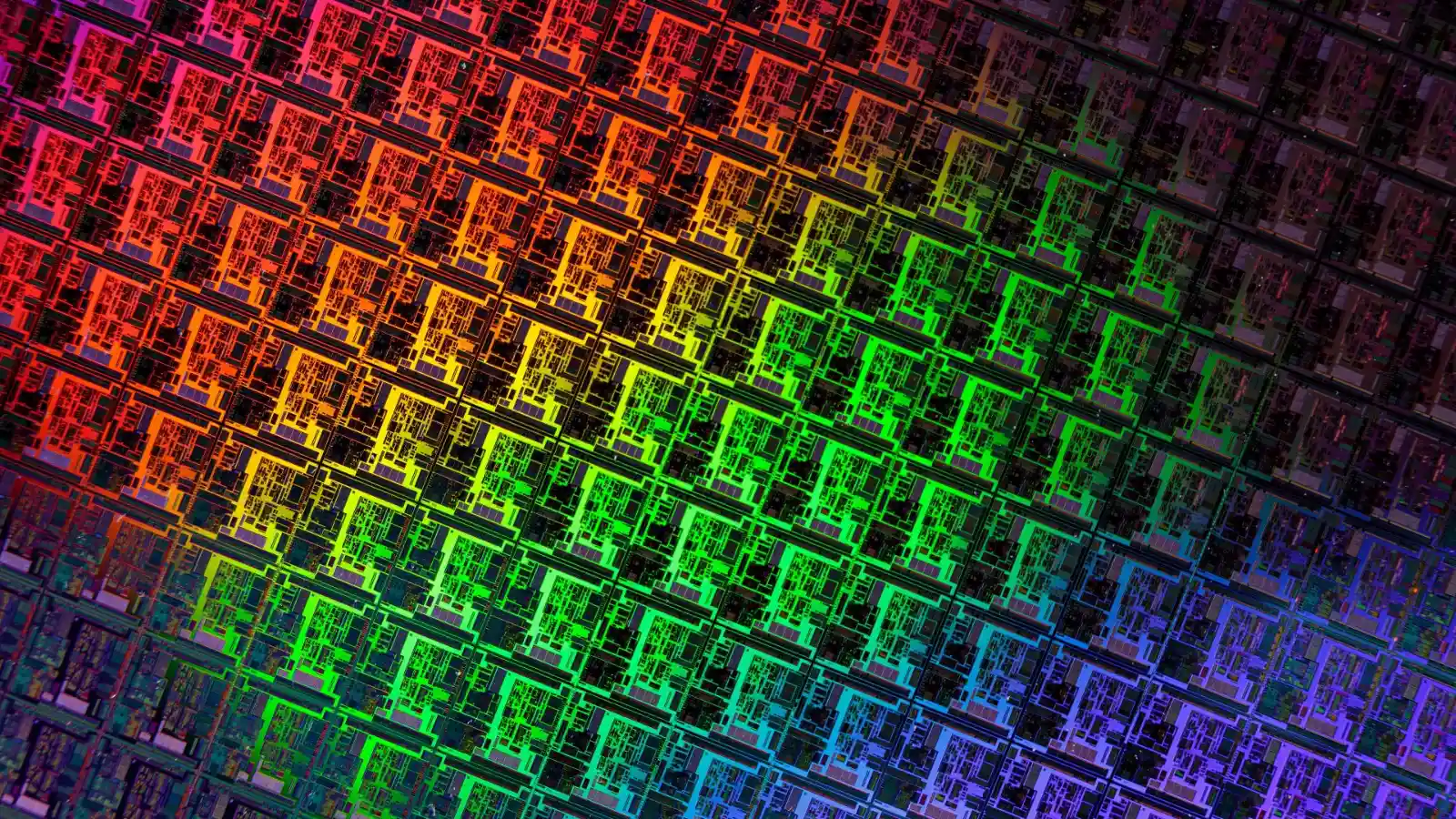 Close-up of a silicon wafer covered in rows of chips, reflecting rainbow colour gradients